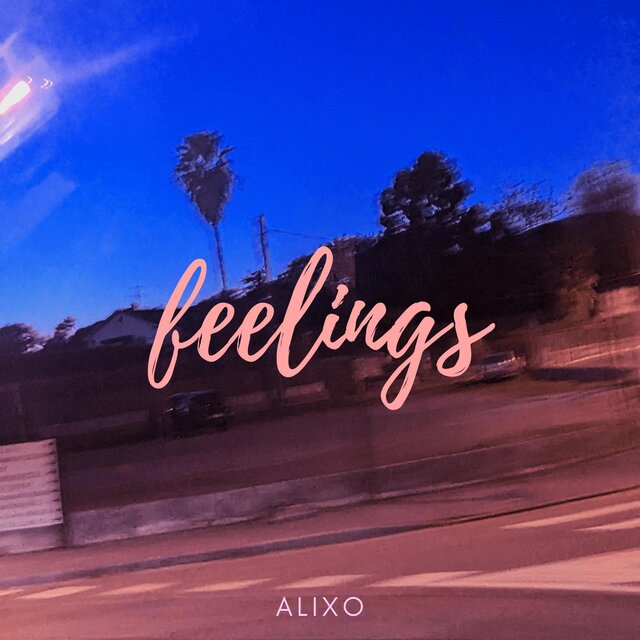 Feelings
