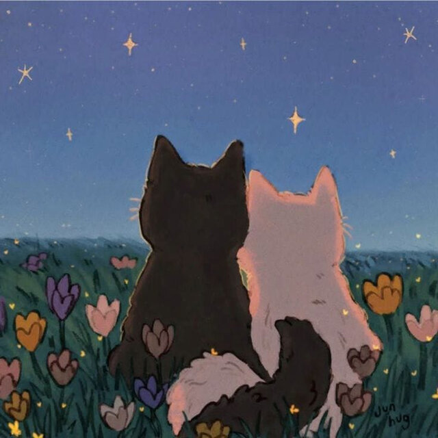Softer Lo-Fi Hours