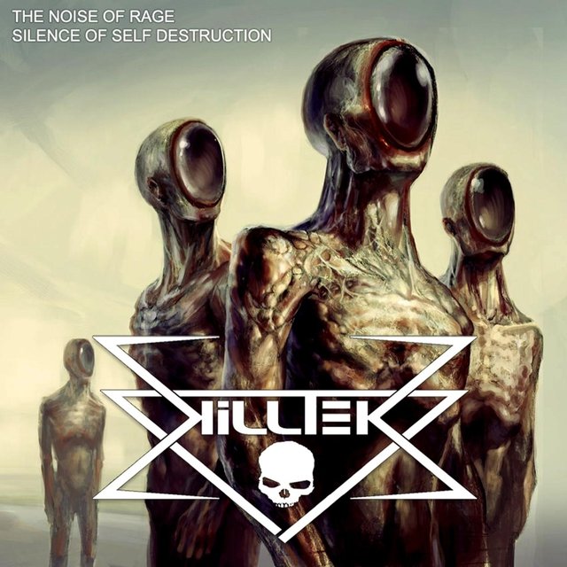 The Noise of Rage/ Silence of Self Destruction