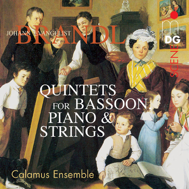 Brandl: Quintets for Bassoon, Piano and Strings, Vol. 2