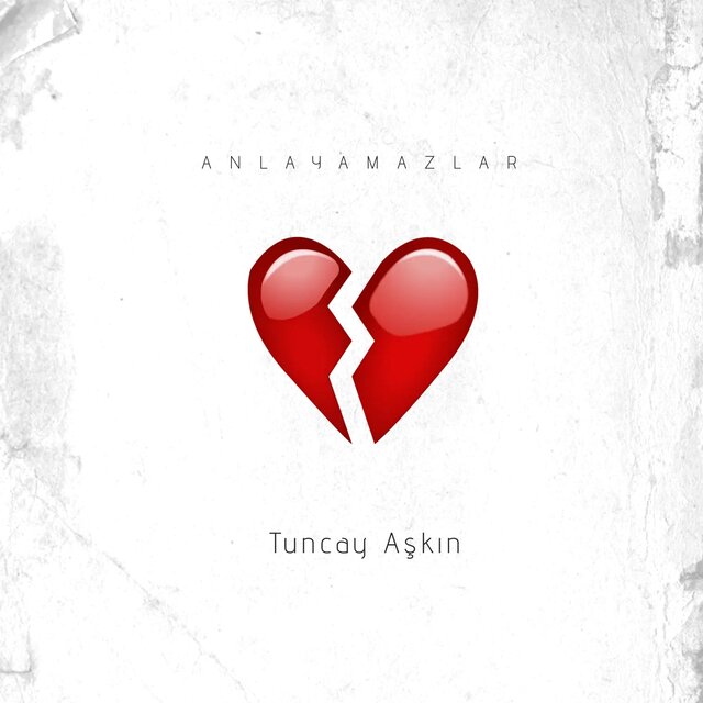 Anlayamazlar