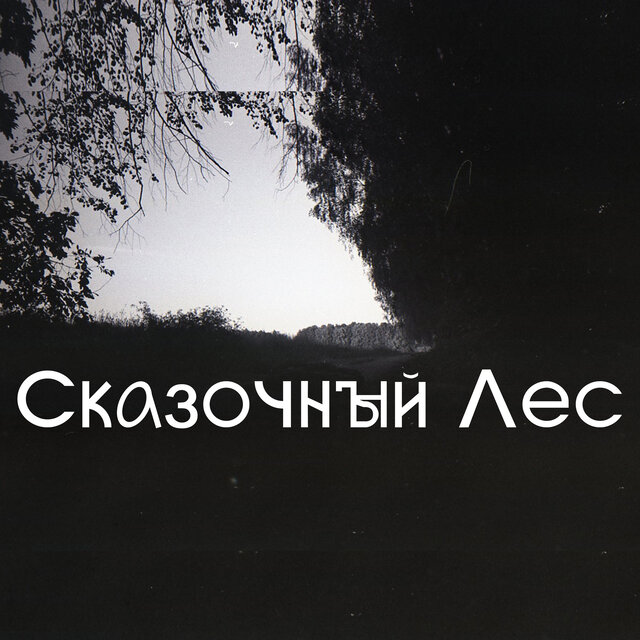 Сказочный лес