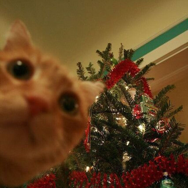 Rockin’ Around the Christmas Tree (Remix)