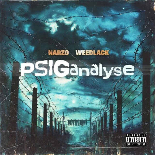 Psiganalyse