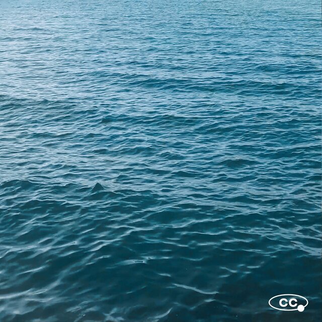 As the Moon Moves the Tides