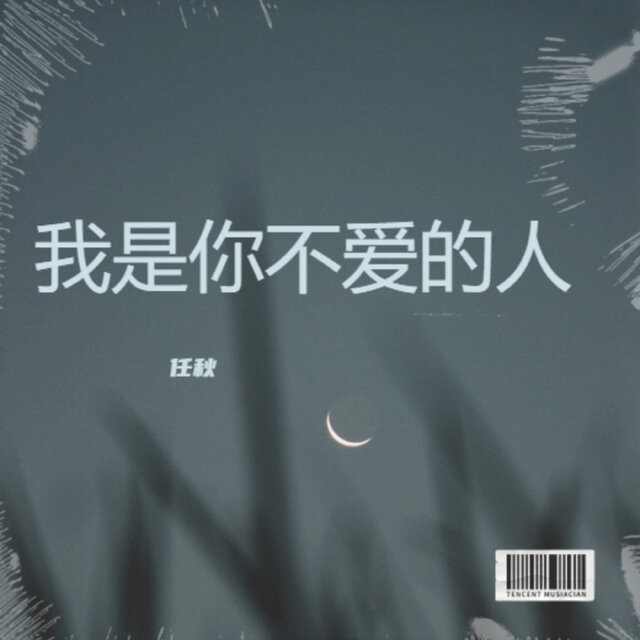 我是你不爱的人