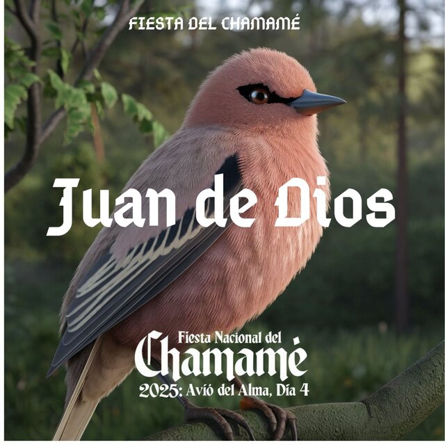 Juan de Dios en Avio del Alma, Dia 4: Fiesta Nacional del Chamamé 2025 (En Vivo)