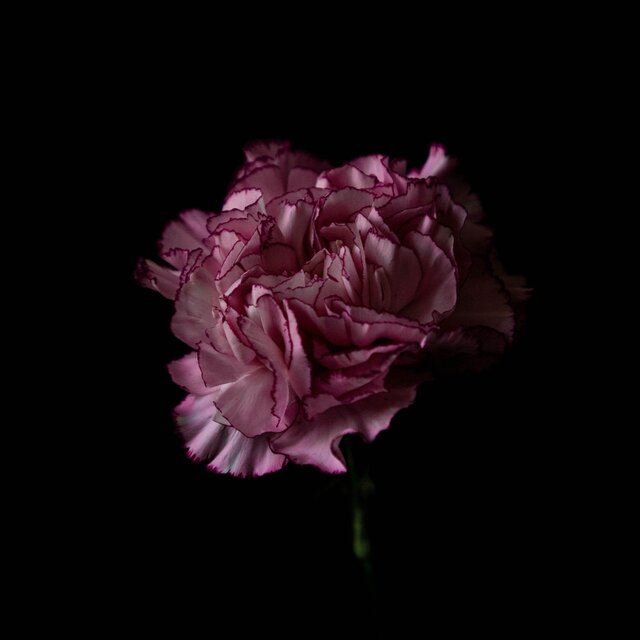 SWAG (Piano Instrumental)