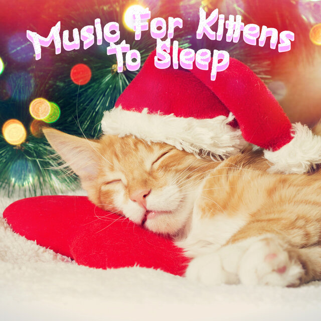 Deep Relaxation Music For Kittens & Cats To Sleep All Night