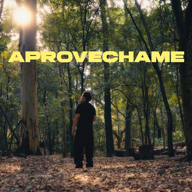 Aprovéchame