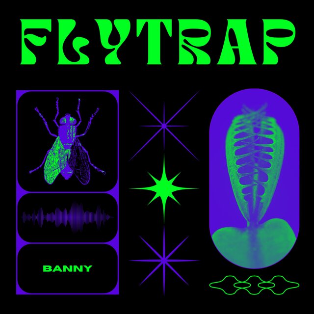 Flytrap