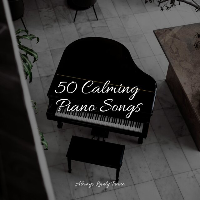 Calm & Steady Songs