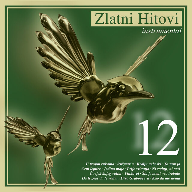 Zlatni hitovi 12 (Instrumental)