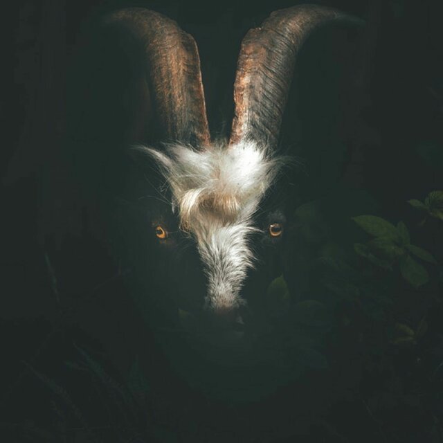 Creepy Music