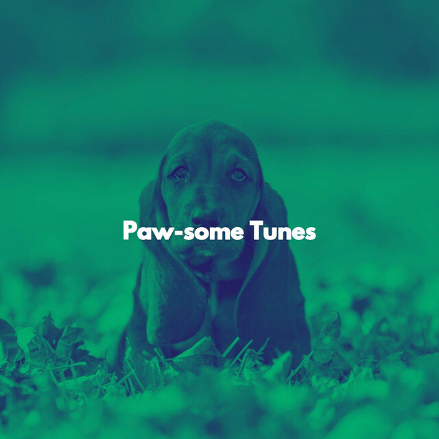 Paw-some Tunes