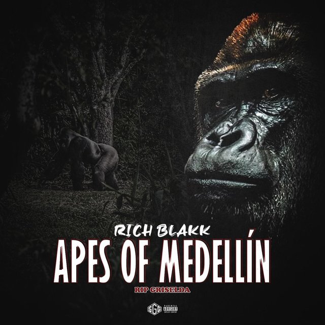 Apes From Medellín