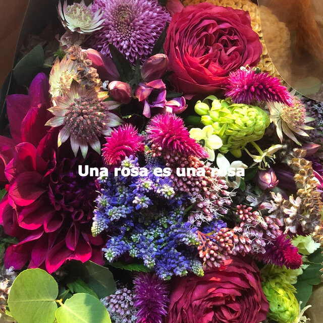 Una rosa es una rosa