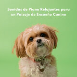 Sonata Relajante Para Cachorros