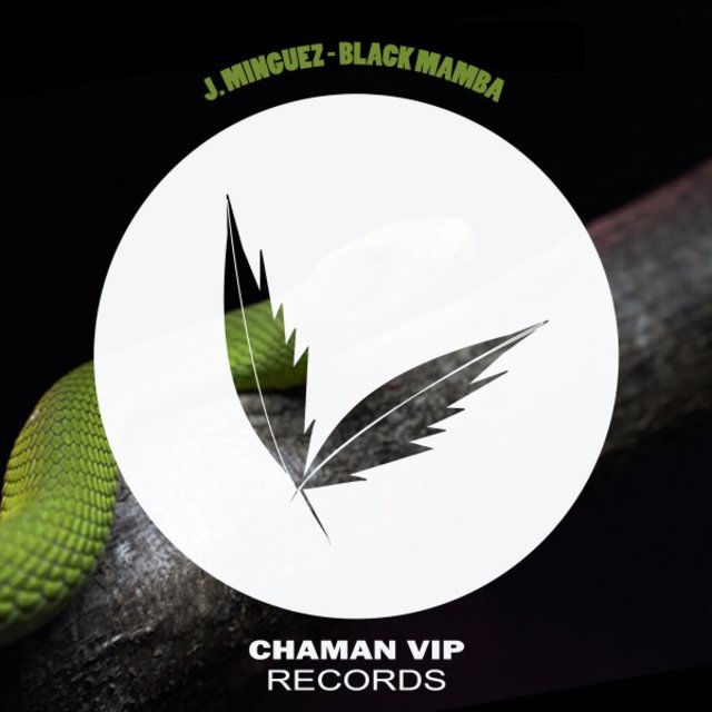 Black Mamba