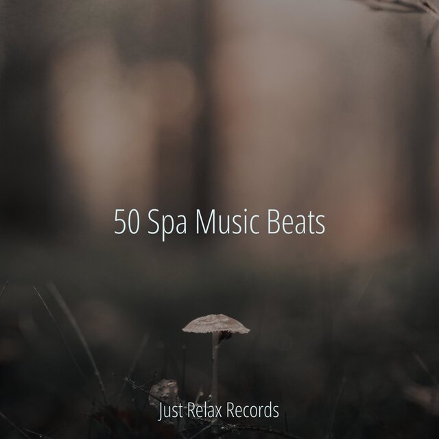 50 Spa Music Beats