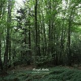 Music for 18 Musicians: I. Pulses