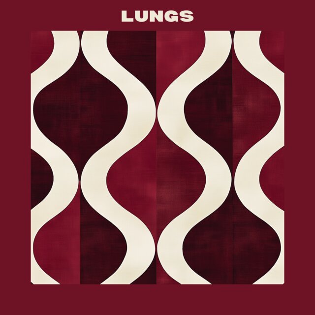 Lungs
