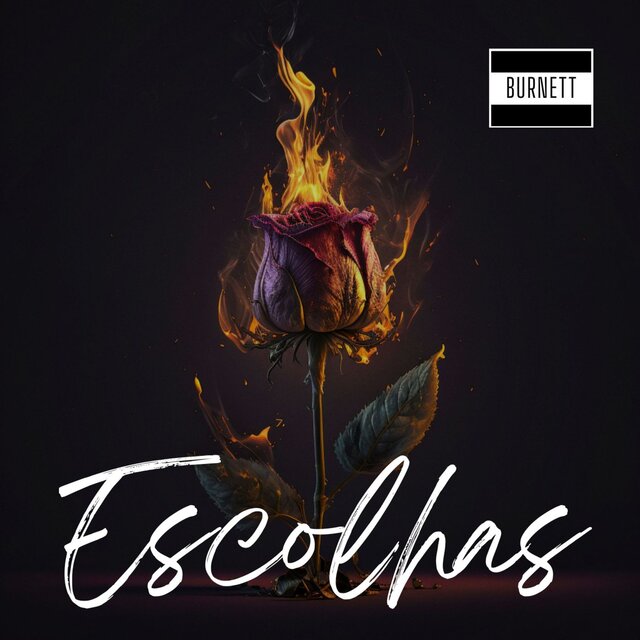 Escolhas