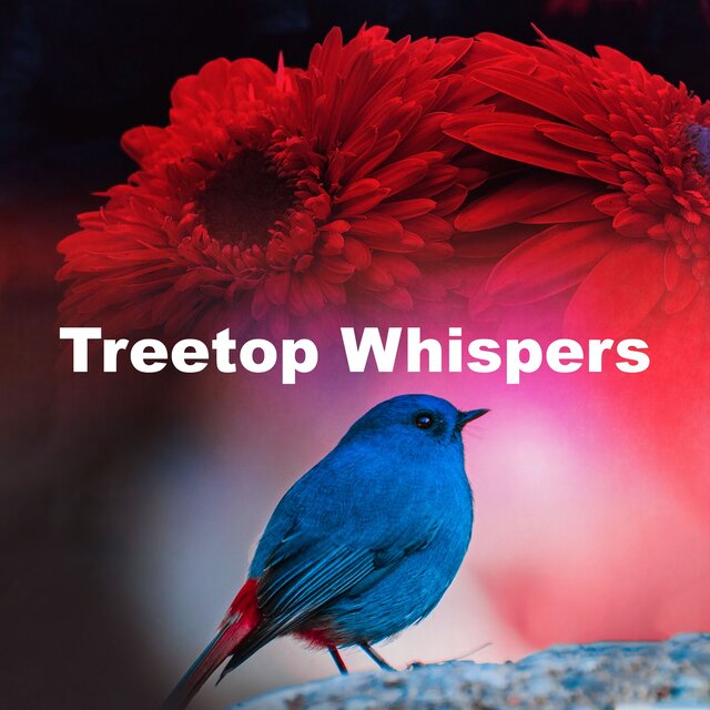 Treetop Whispers