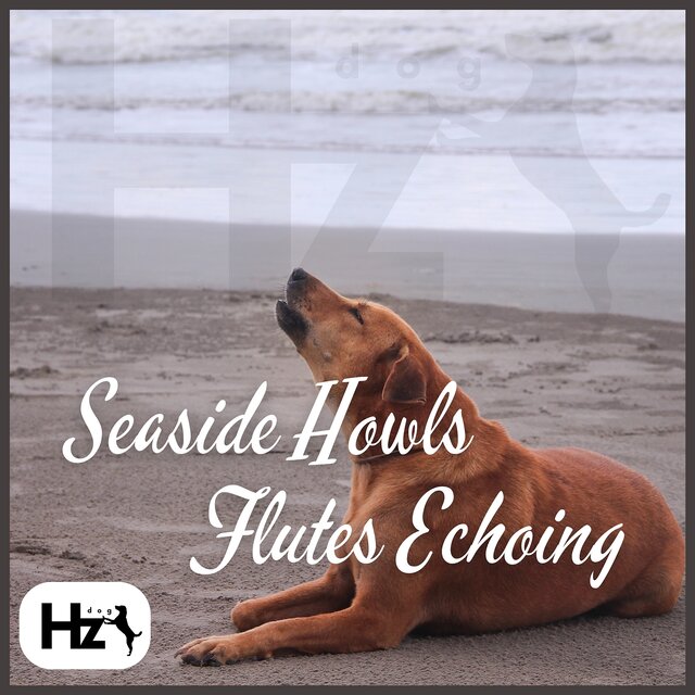 Seaside Howls: Flutes Echoing Across the 417 Hz Shore