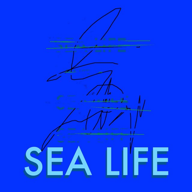 Sea Life
