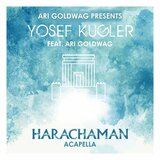 Harachaman (Acapella Version) [feat. Ari Goldwag]