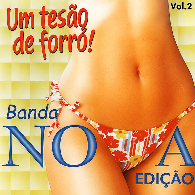 Um Tesão de Forró, Vol. 2