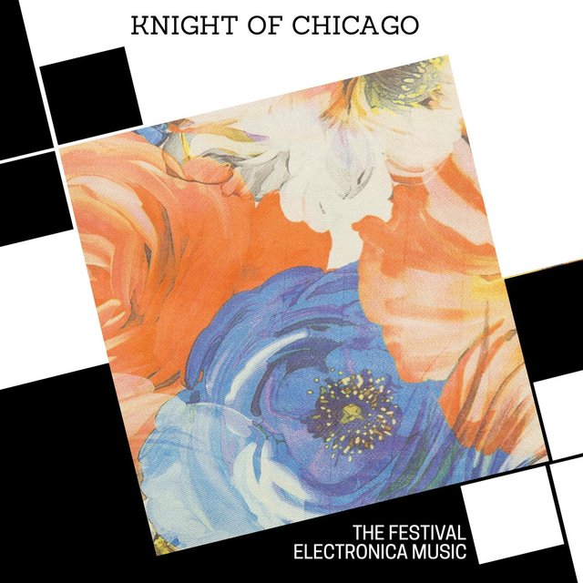 Knight Of Chicago - The Festival Electronica Music