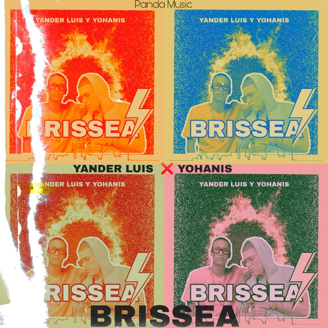 Brissea