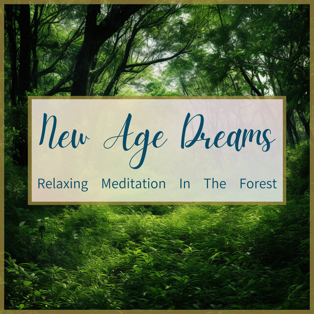 Relaxing Meditation In The Forest