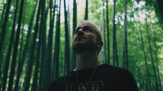 Tiger Teeth (Official Video)