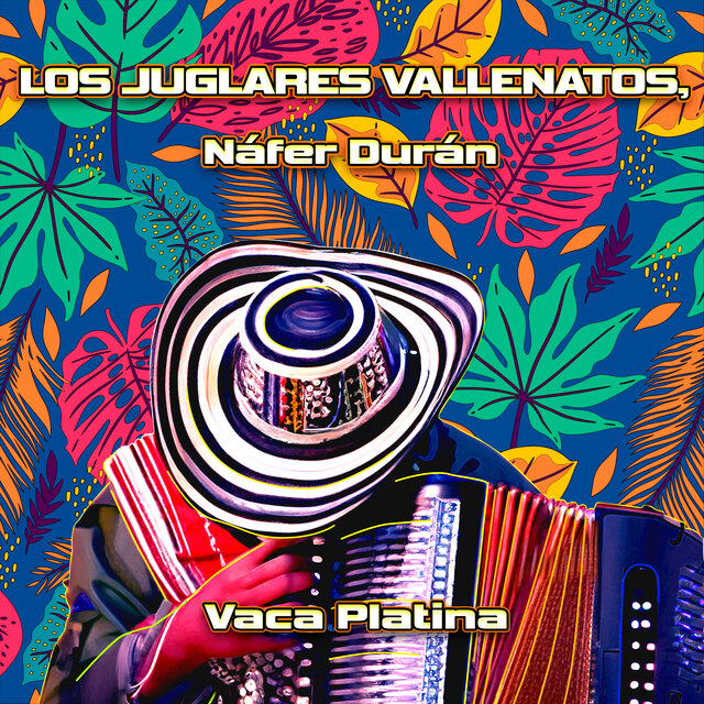Vaca Platina