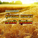 สาวบ้านเพ