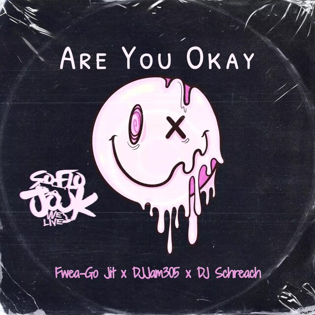Are You Okay (feat. DJJam305 & DJ Schreach)