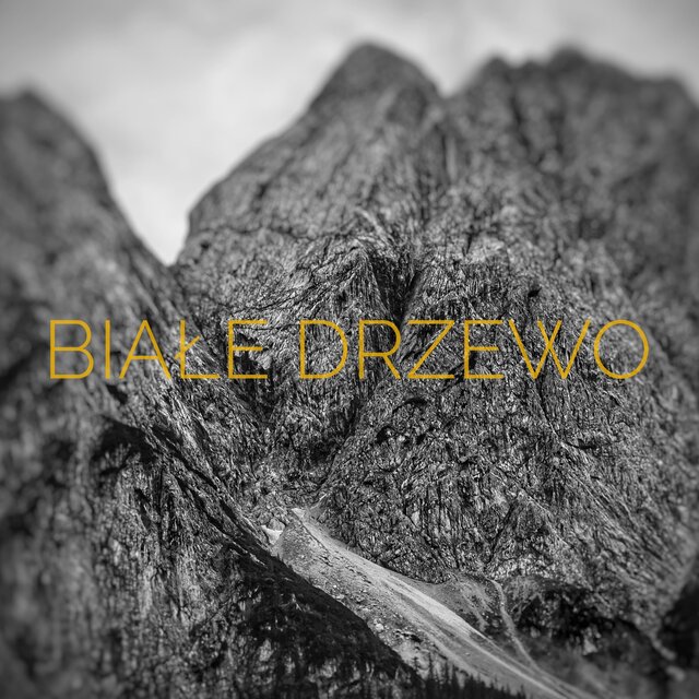 Białe Drzewo