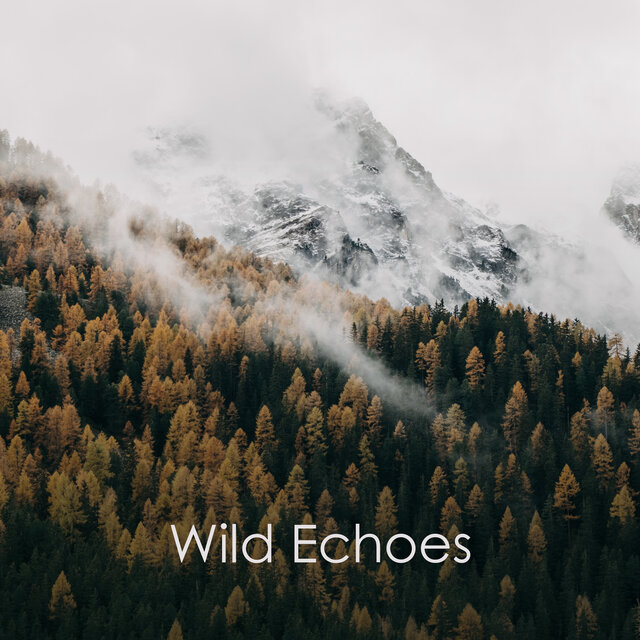 Wild Echoes: Amazon Nature Meditation, Green Zen Meditation
