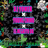 Molly Yerba