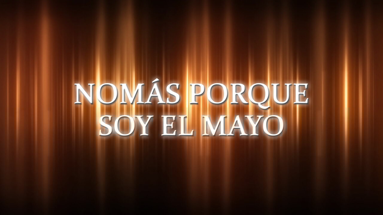 Nomás Porque Soy El Mayo (LETRA / En Vivo)