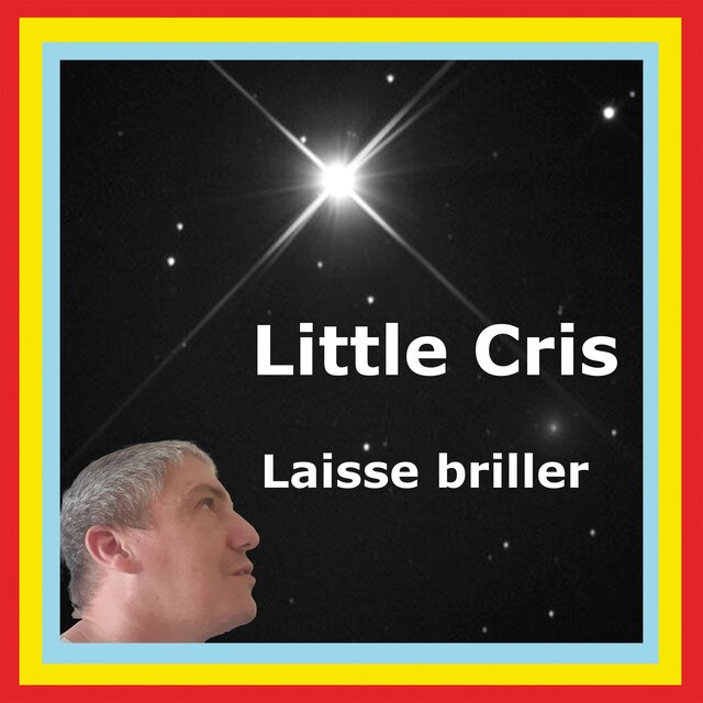 Laisse briller