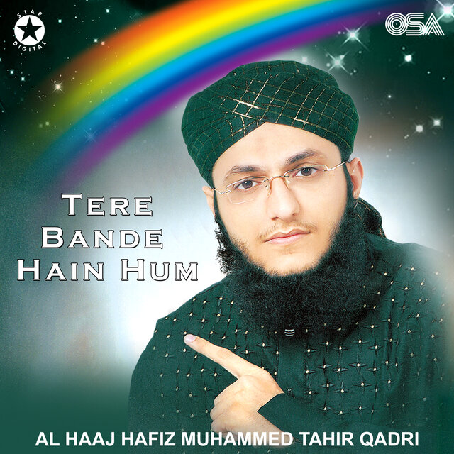 Tere Bande Hain Hum