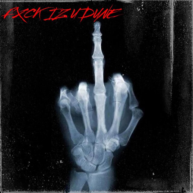 FXCKIZUDUNE (Radio Edit)