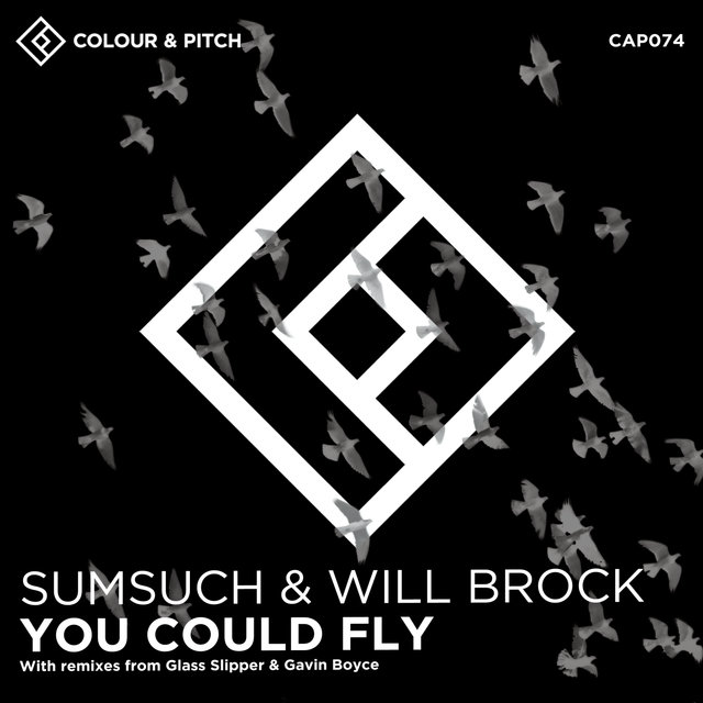 You Could Fly