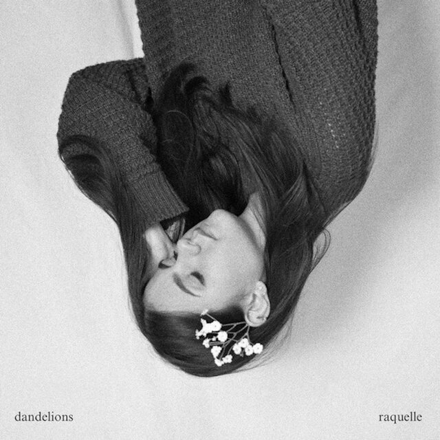 Dandelions