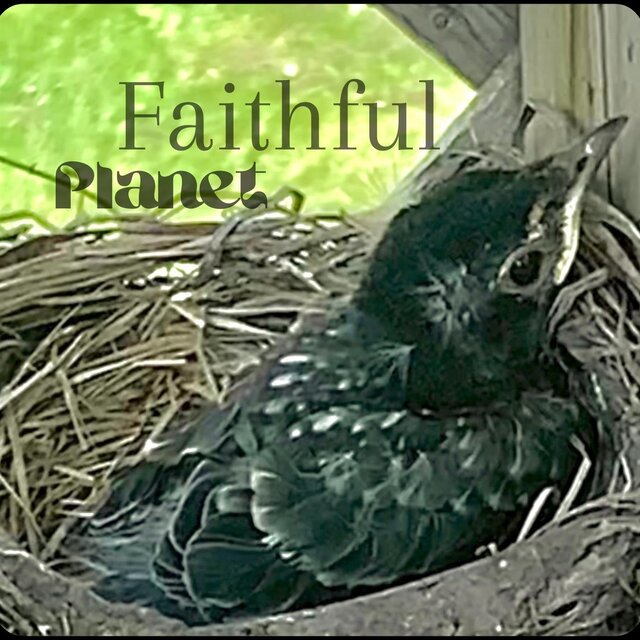 Faithful Planet