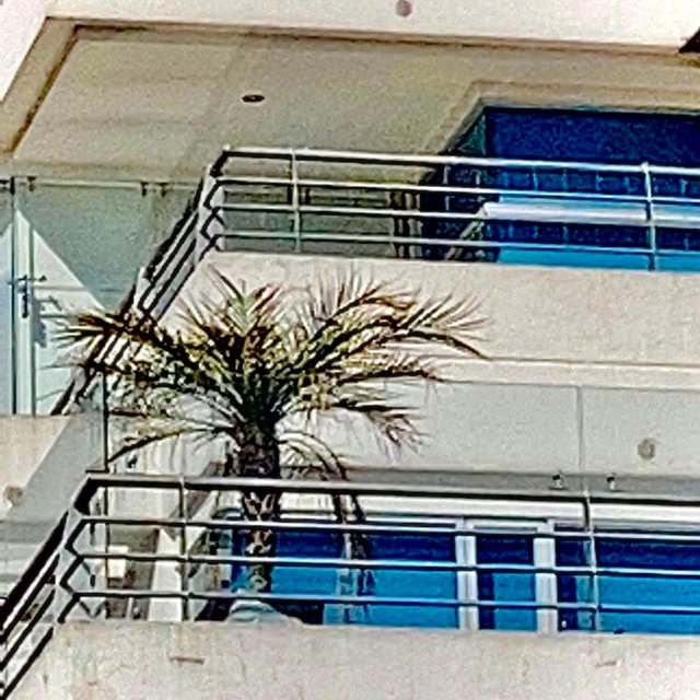 Beach House